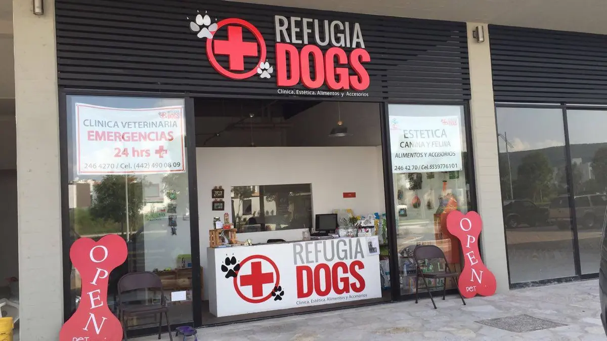 Refugiadogs — foto 3 de 3