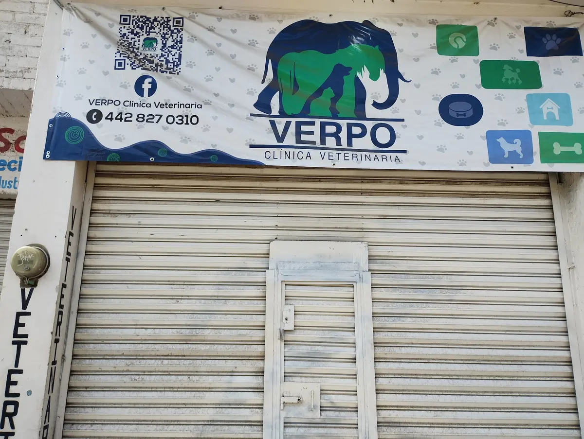 VERPO Clínica Veterinaria — foto 3 de 3