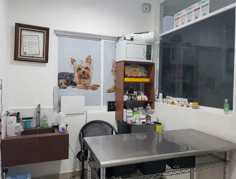 VETERINARIA DR. MEMO — foto 3 de 4