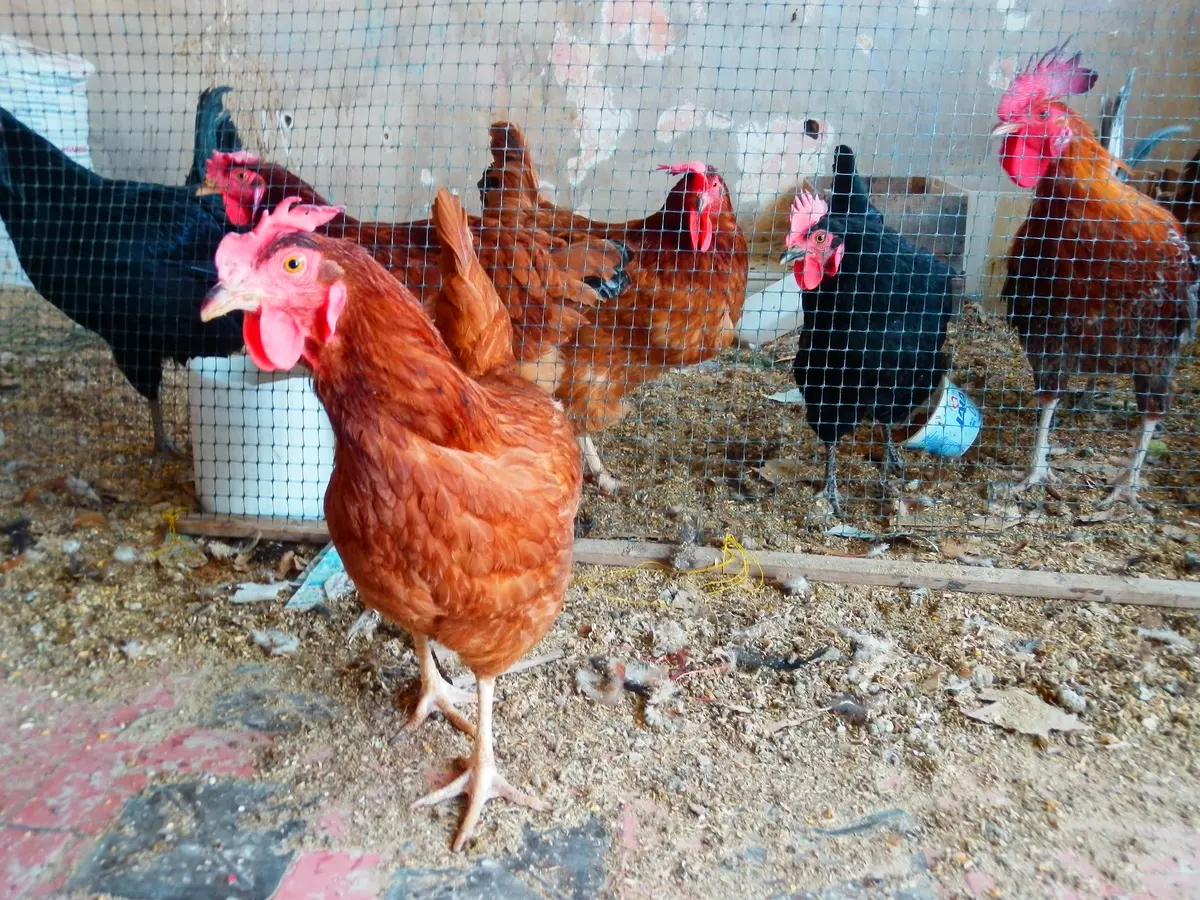 Veterinaria Zaragoza — foto 2 de 2