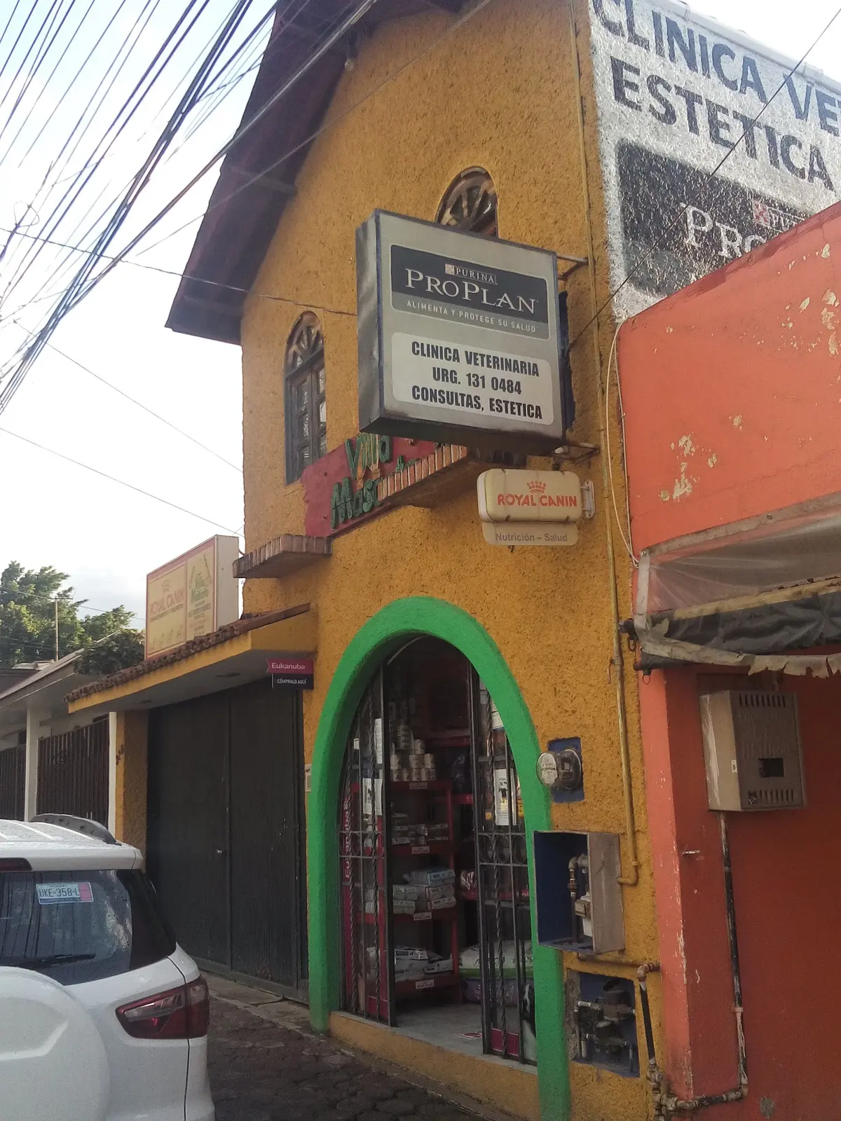 Villa Mascota — foto 2 de 3