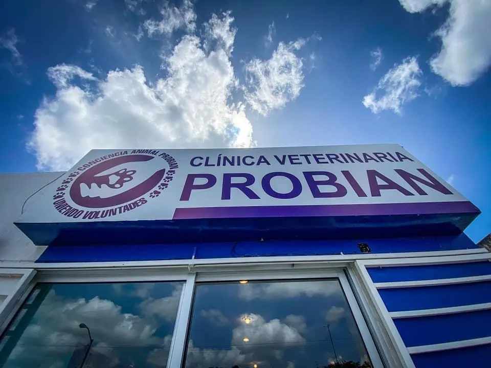 Clínica Veterinaria Probian Chetumal — foto 2 de 3