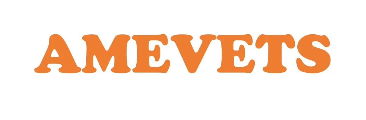 Amevets Plaza Oriente