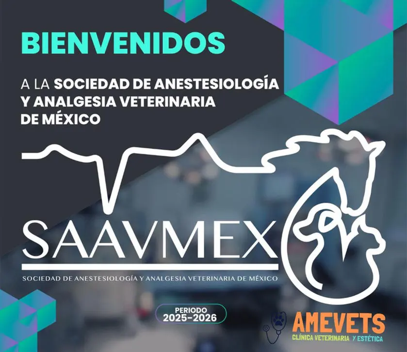 Amevets Plaza Oriente — foto 3 de 4