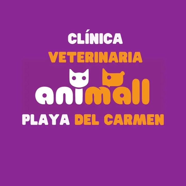 Animall Clínica Veterinaria