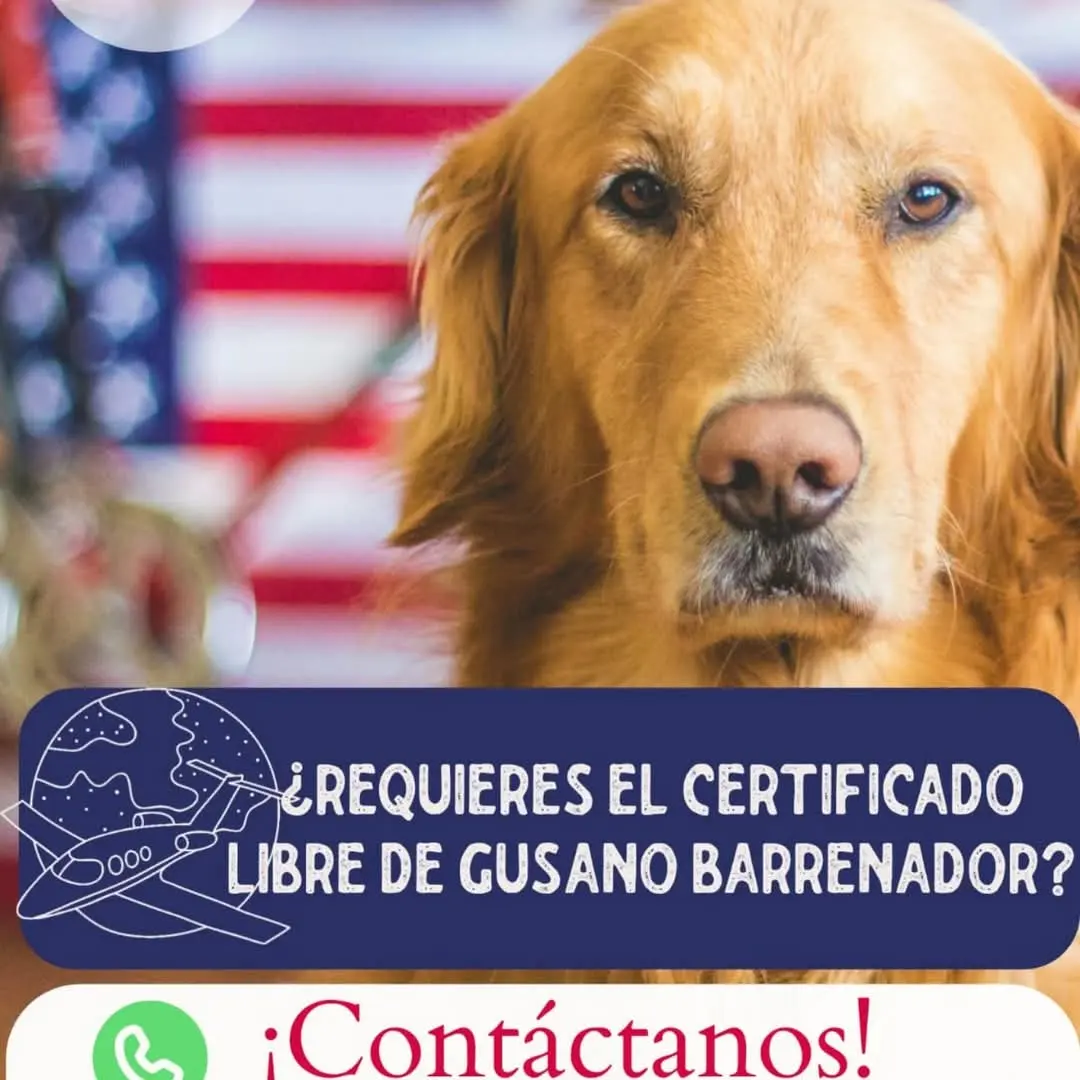 Clinivet — foto 3 de 3