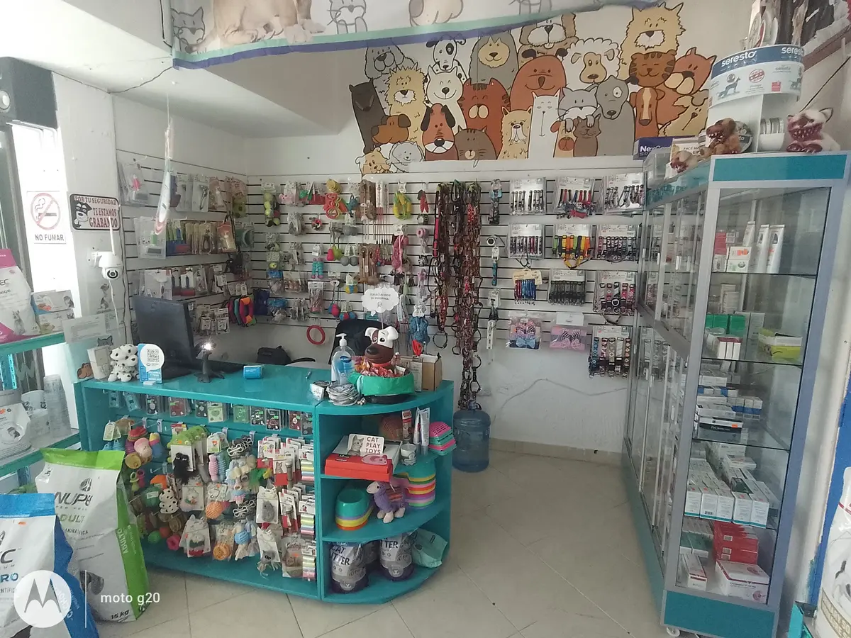 Pet Vet Clinica Veterinaria — foto 3 de 3