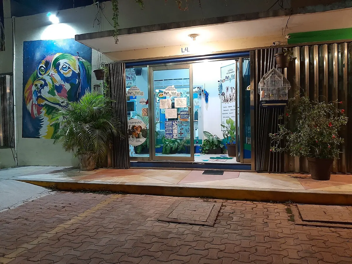 Pet Vet Clinica Veterinaria — foto 2 de 3