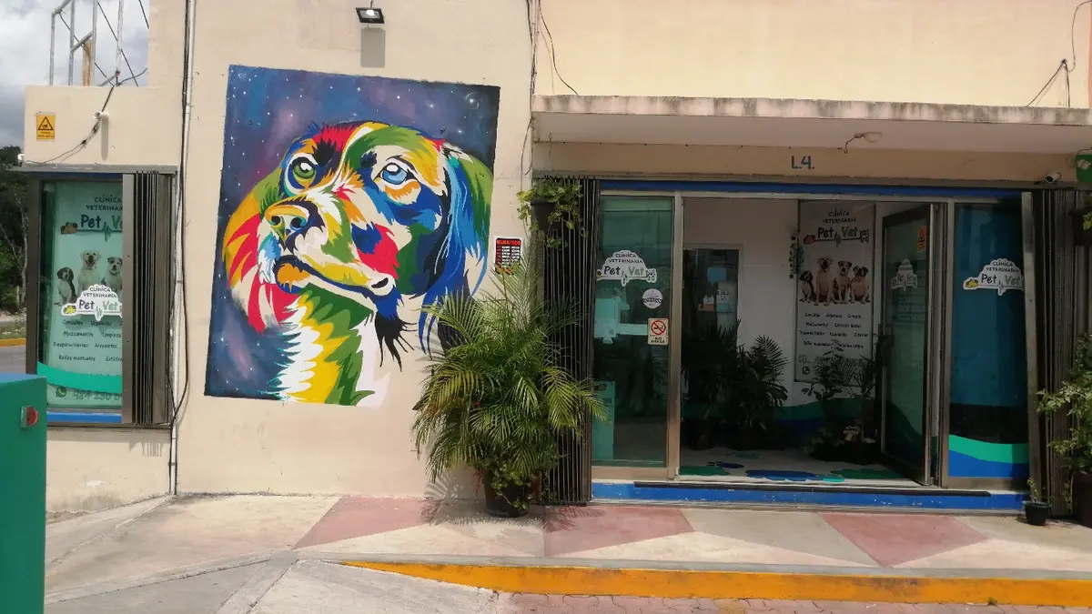Pet Vet Clinica Veterinaria