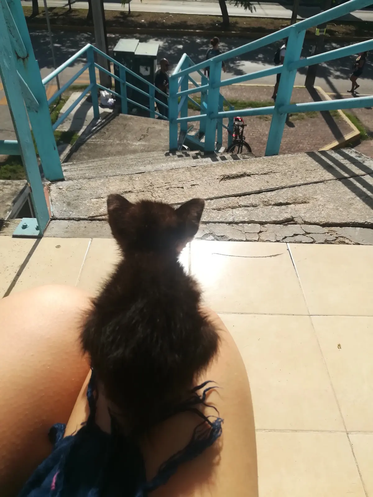 Playa Pet — foto 3 de 3