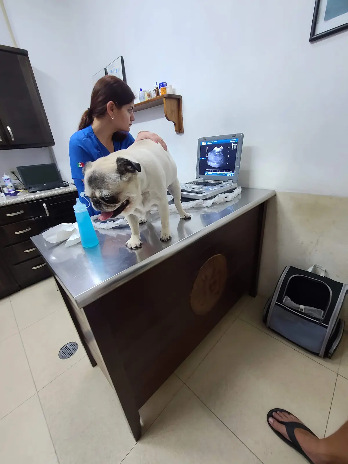 Sanimal - Clínica Veterinaria — foto 3 de 3