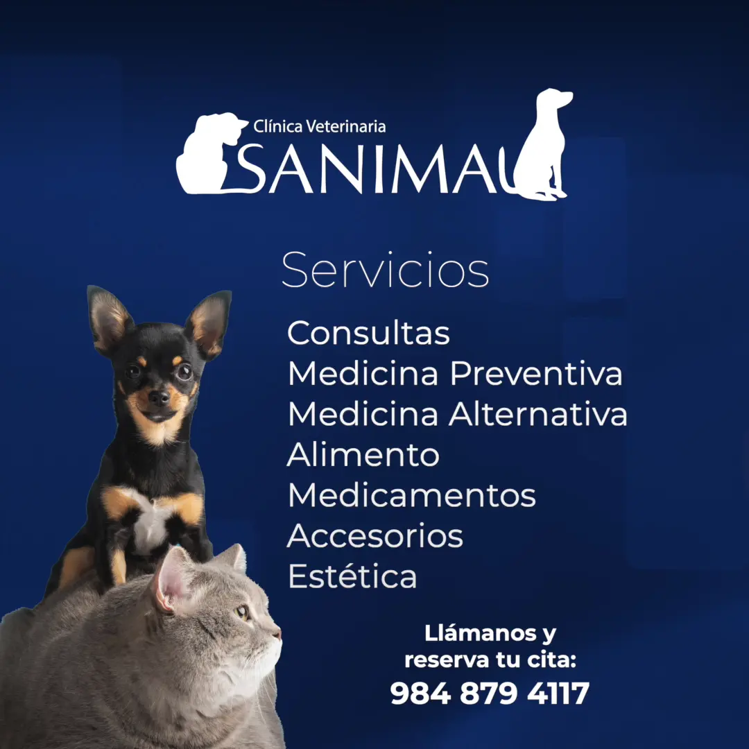 Sanimal - Clínica Veterinaria — foto 2 de 3
