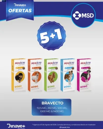Dinavet sucursal Ciudad Valles — foto 2 de 4
