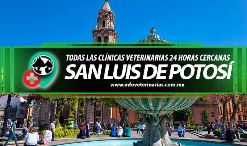 El Reino Veterinario