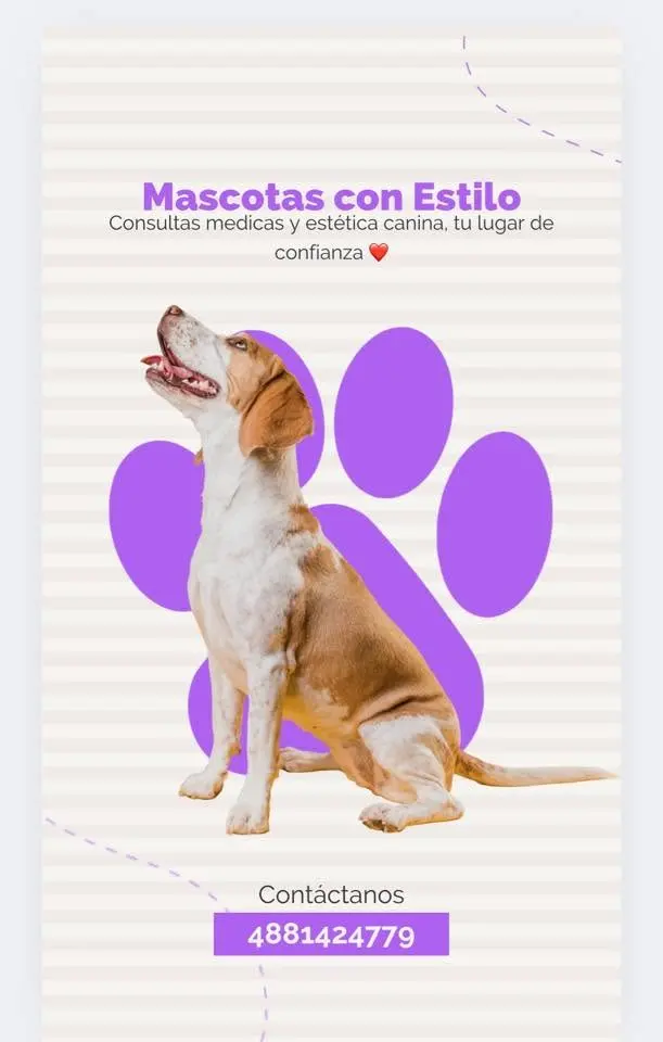 Centro Veterinario Mascotas Con Estilo