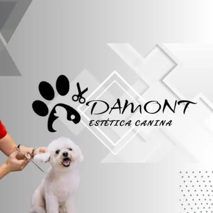 ESTETICA DAMONT