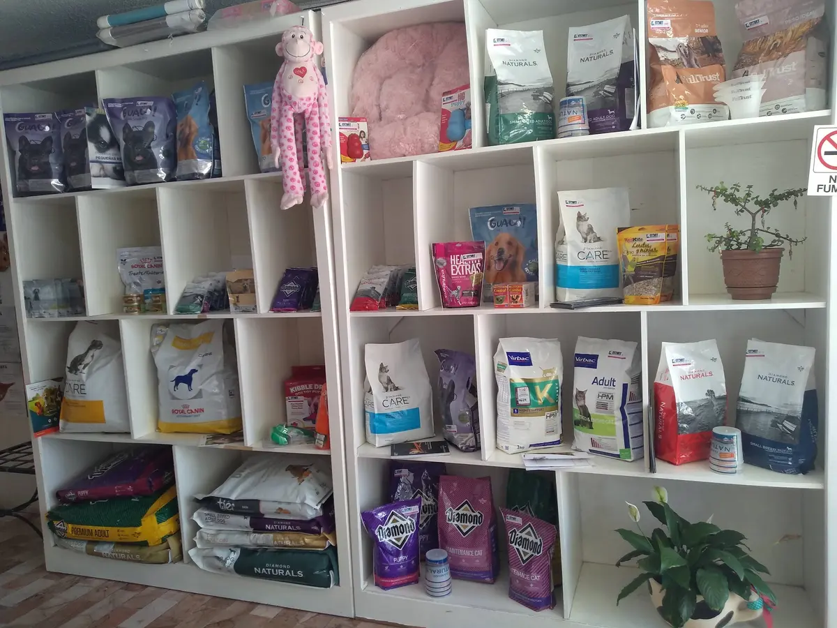 Etovet clínica veterinaria y spa de mascotas — foto 3 de 3