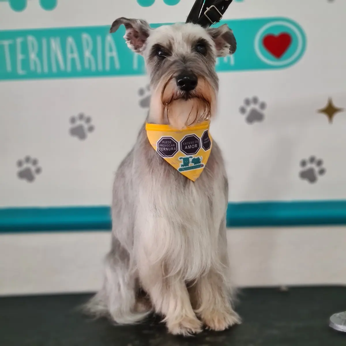 Veterinaria Aguilar