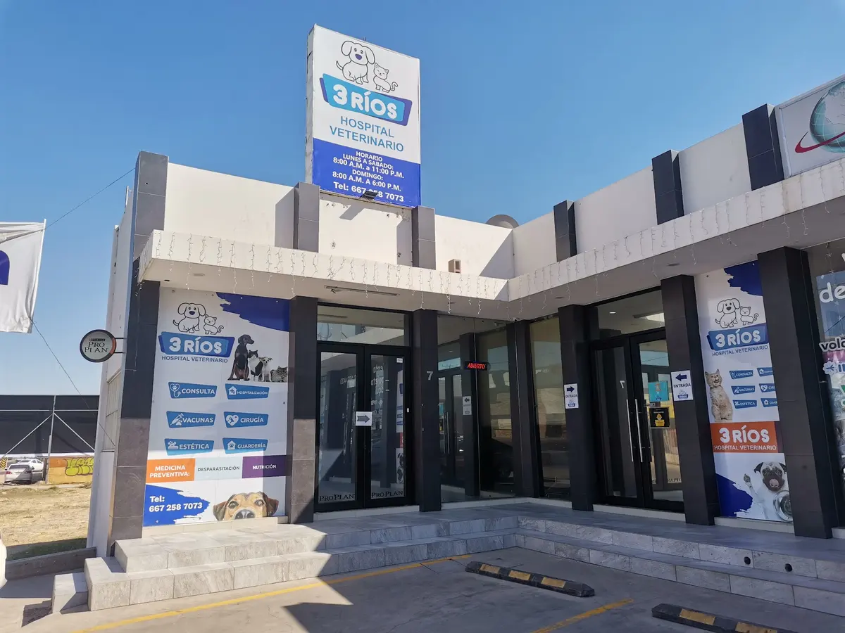Hospital Veterinario 3 Ríos