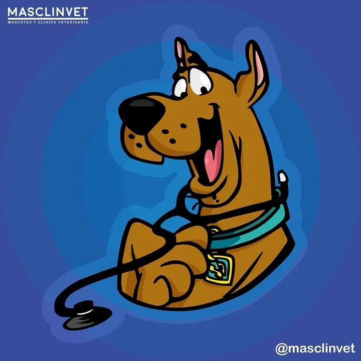 MASCLINVET