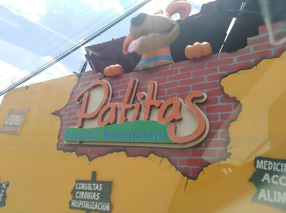Patitas Hospital Veterinario