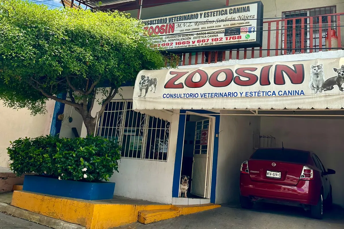 ZOOSIN