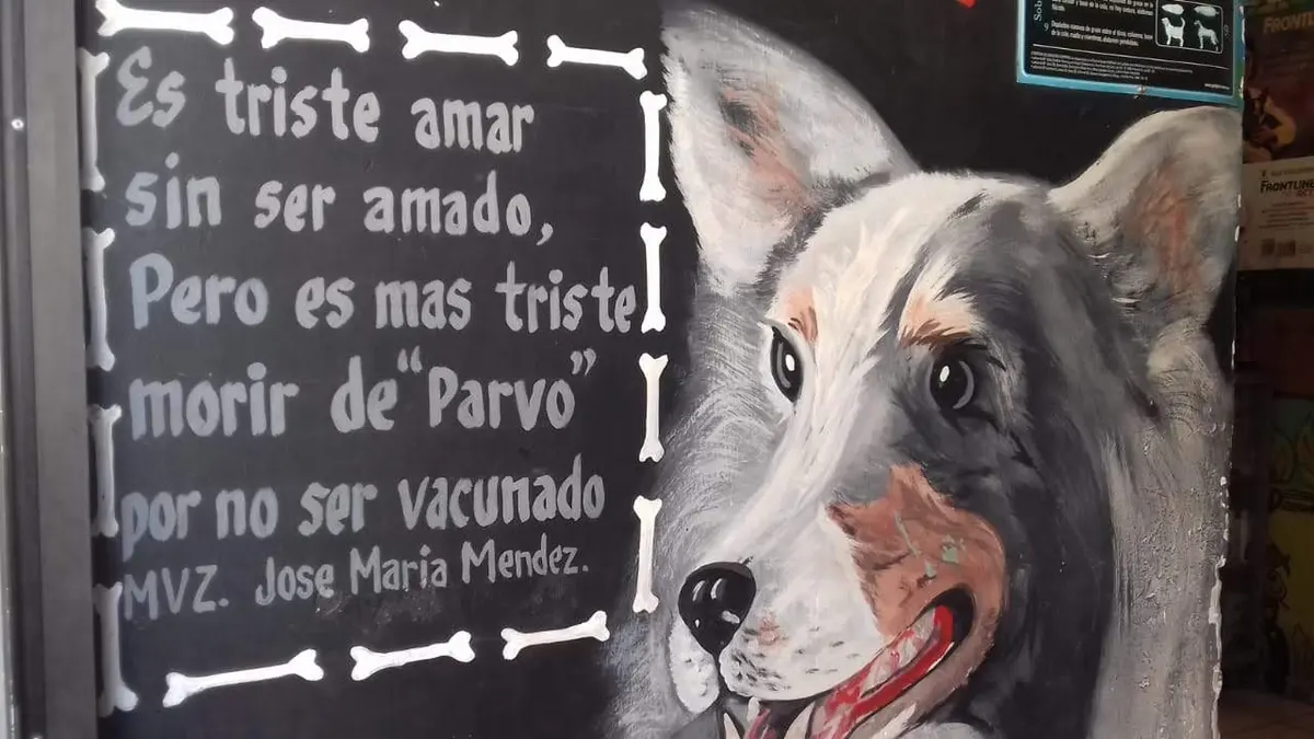 VETERINARIA SAN JUAN