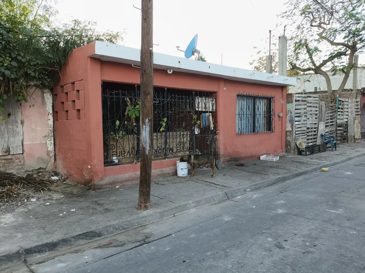 Centro de control y bienestar animal