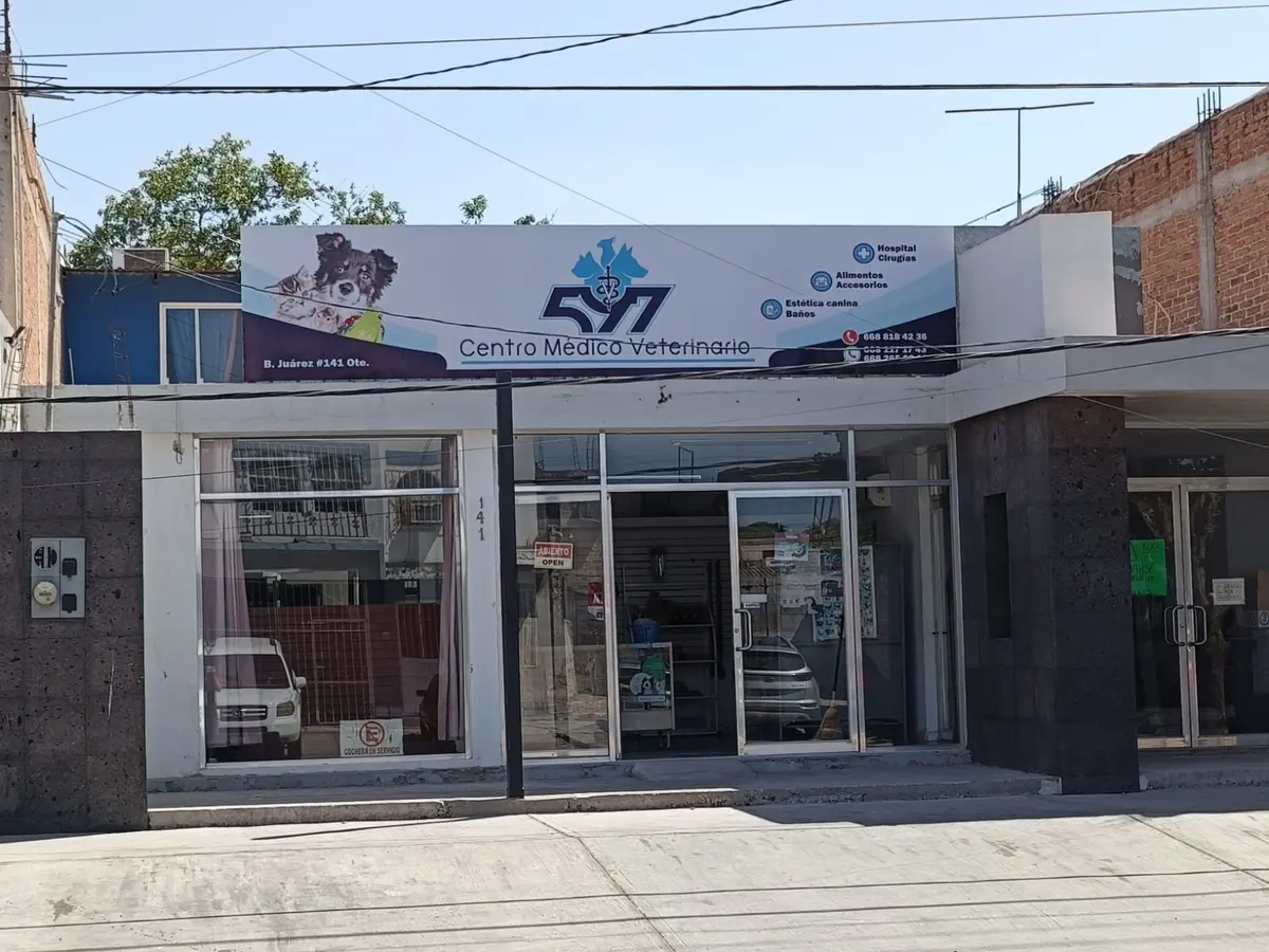 Centro Médico Veterinario 597 (Veterinaria El Mercadito)
