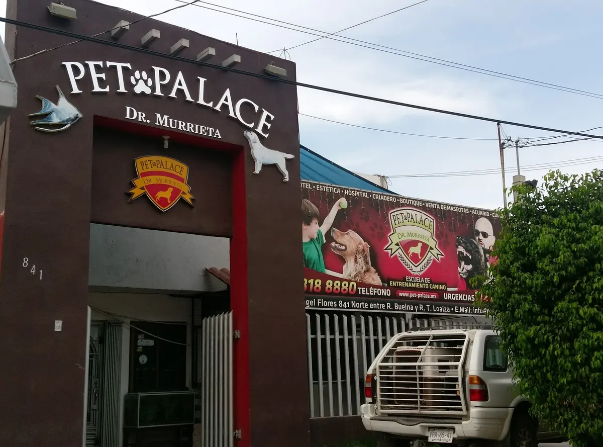 Pet Palace Dr. Murrieta