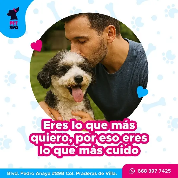 Veterinaria Pet Spa — foto 3 de 4