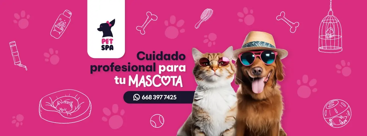 Veterinaria Pet Spa