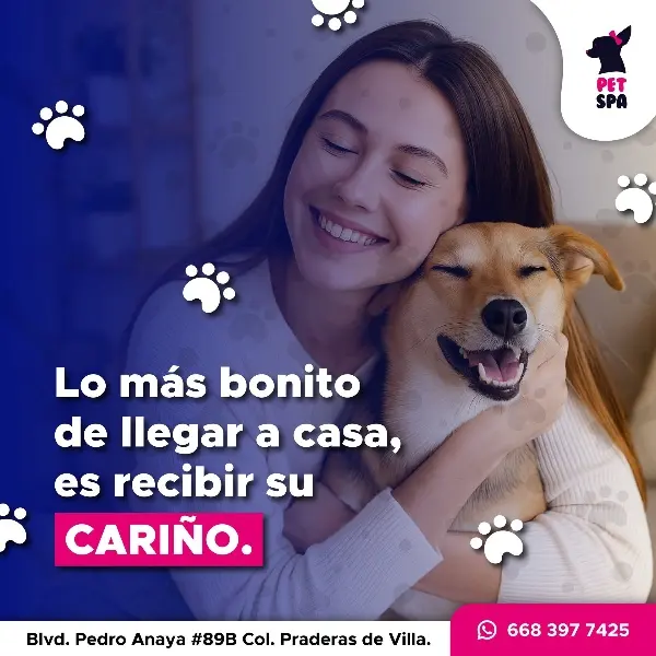 Veterinaria Pet Spa — foto 4 de 4