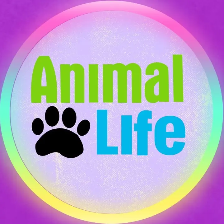 Clínica Veterinaria Animal Life