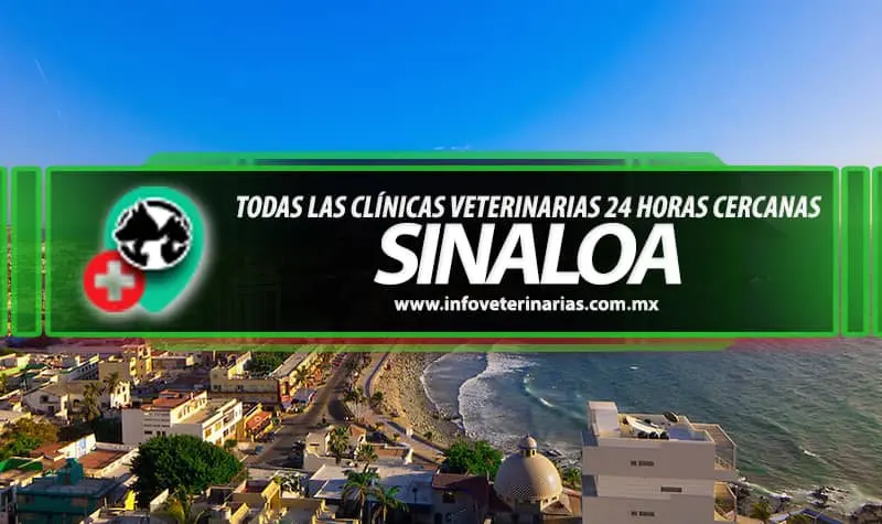 CLINICA VETERINARIA CARDENAS