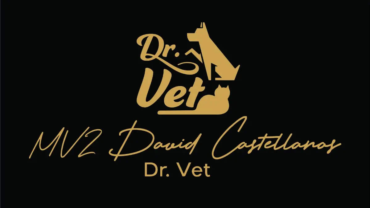 F.A.S.V PetHospital "Dr.Vet" — foto 3 de 4