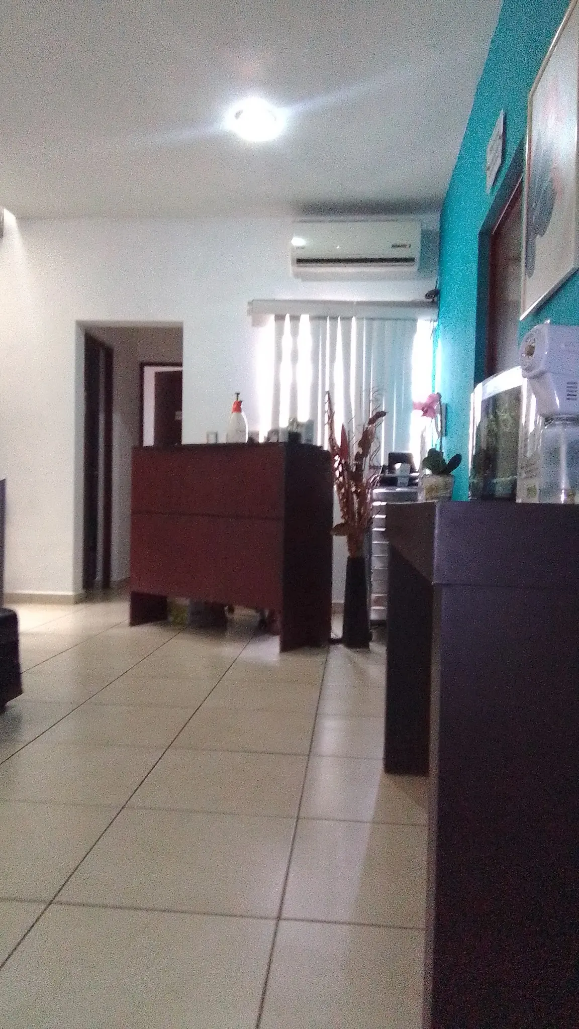 Veterinaria La Herradura — foto 3 de 3