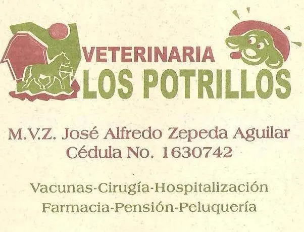 Veterinaria Los Potrillos