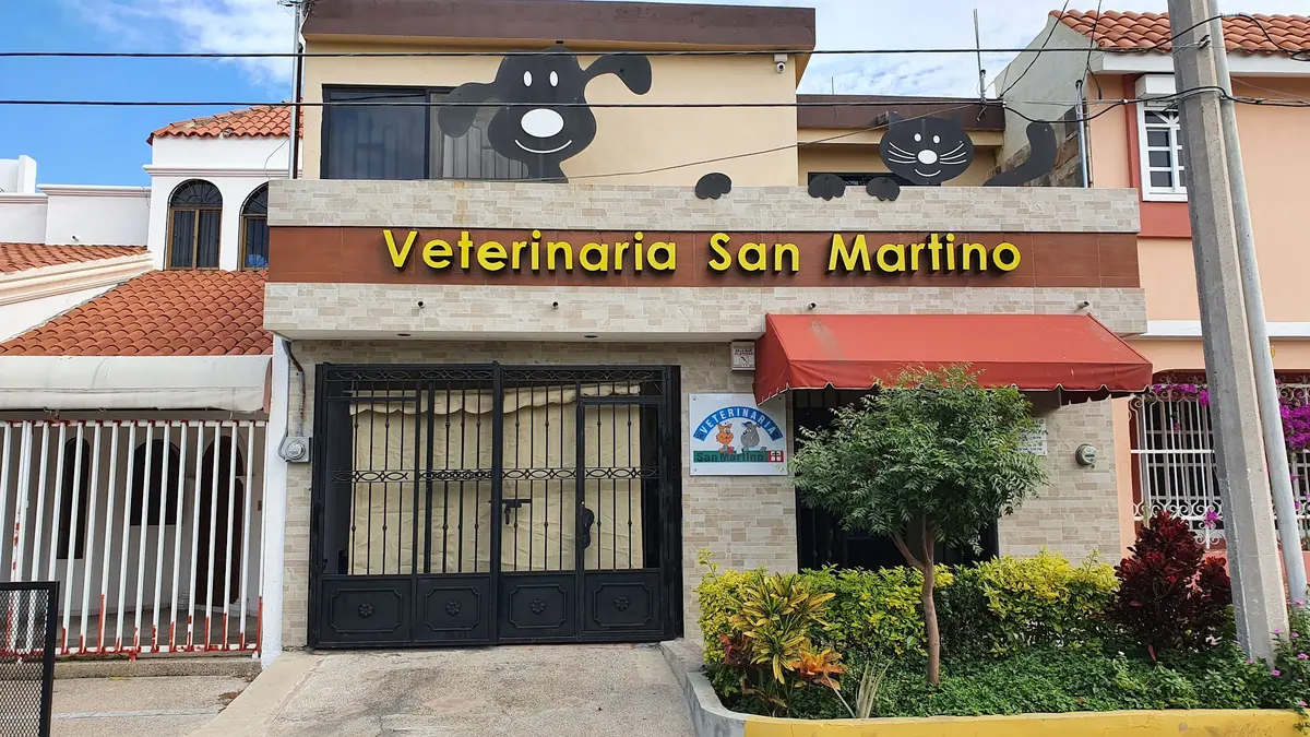 VETERINARIA SAN MARTINO — foto 2 de 3
