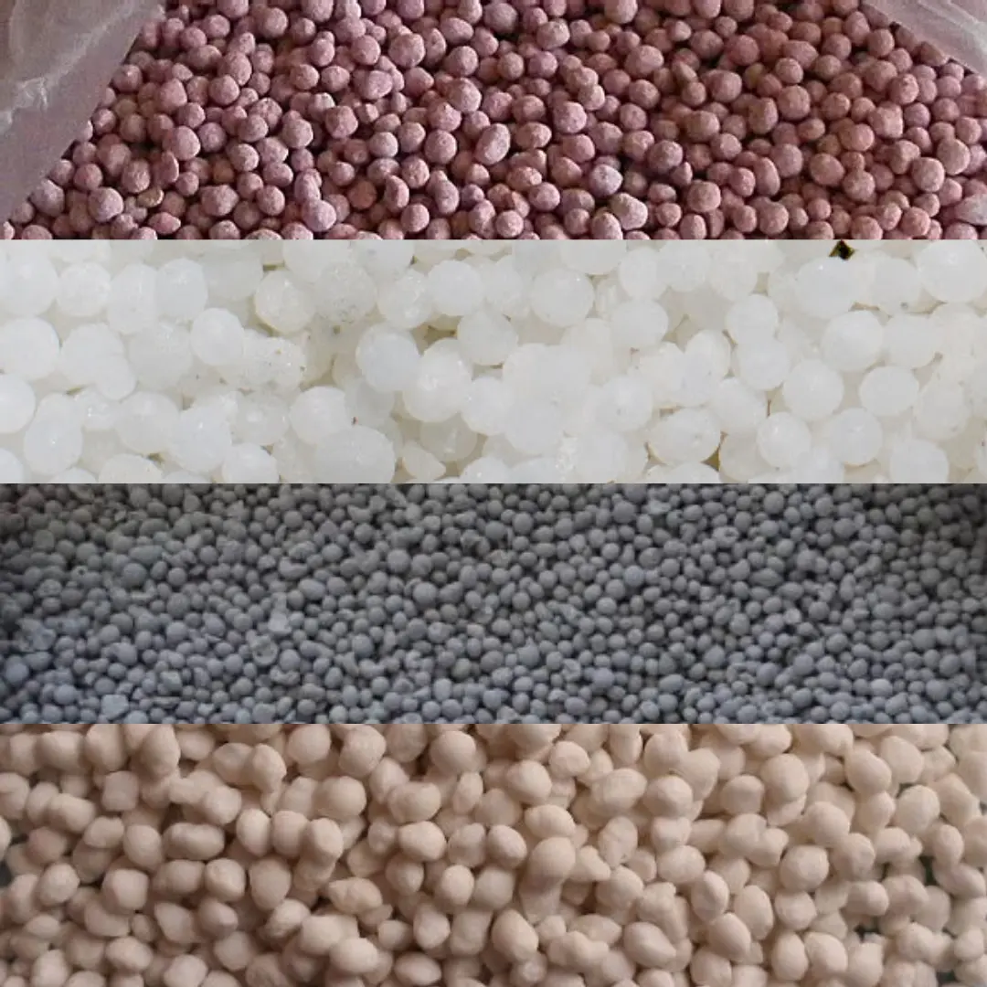 AGRI INSUMOS - AGROLUY — foto 4 de 4