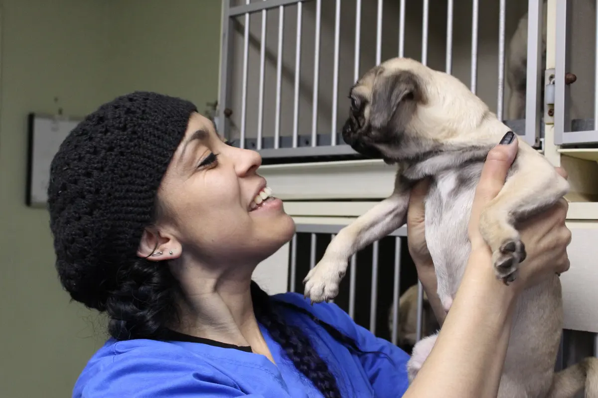 Clínica Veterinaria 2000