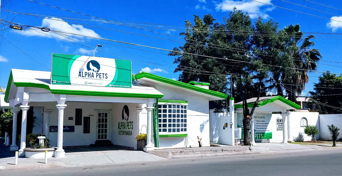 ALPHA PETH CLINICA VETERINARIA