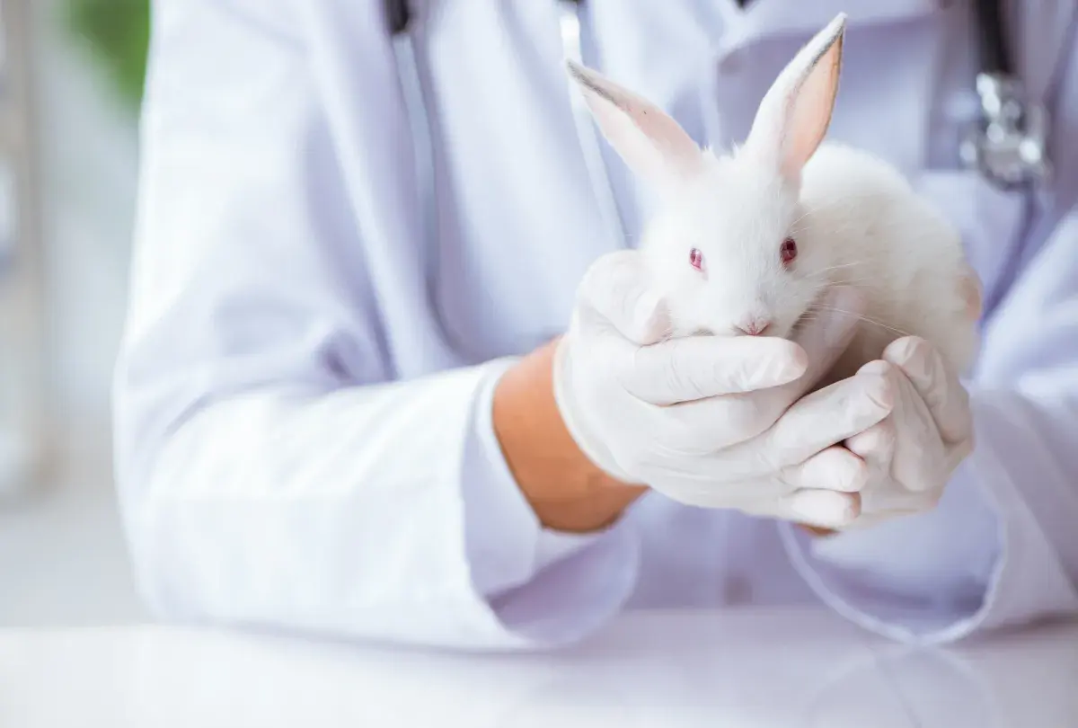 Centro Médico Veterinario Dr. Zavala