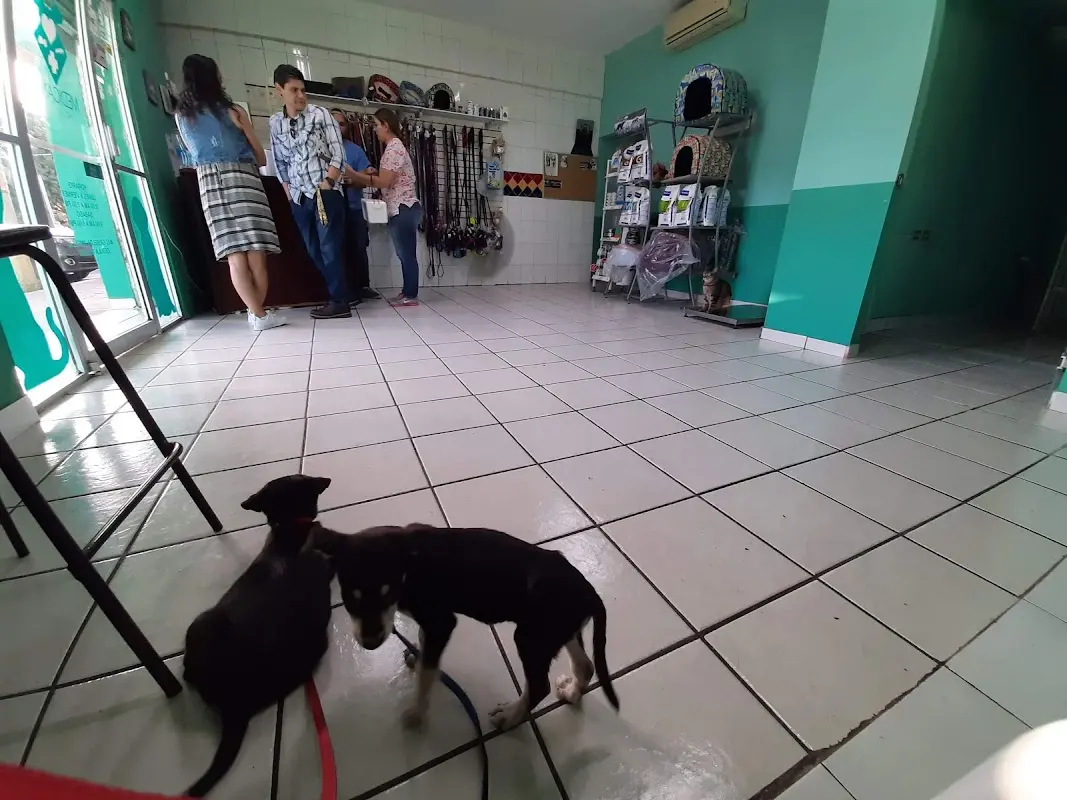 Clínica Veterinaria Medicans — foto 3 de 3