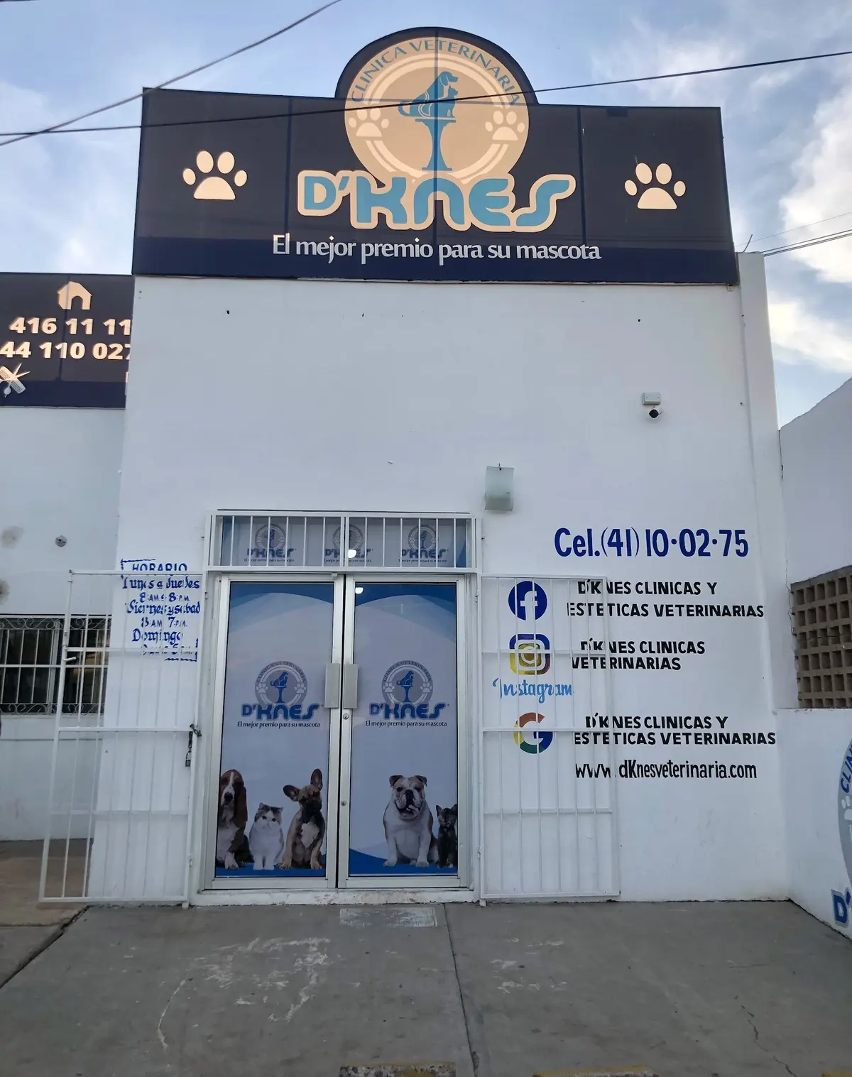 D'Knes Clínicas y Esteticas Veterinarias