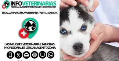 Hospital Veterinario Danés — foto 4 de 4