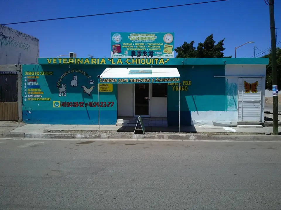 LA CHIQUITA VETERINARIA-ESTÉTICA — foto 2 de 3
