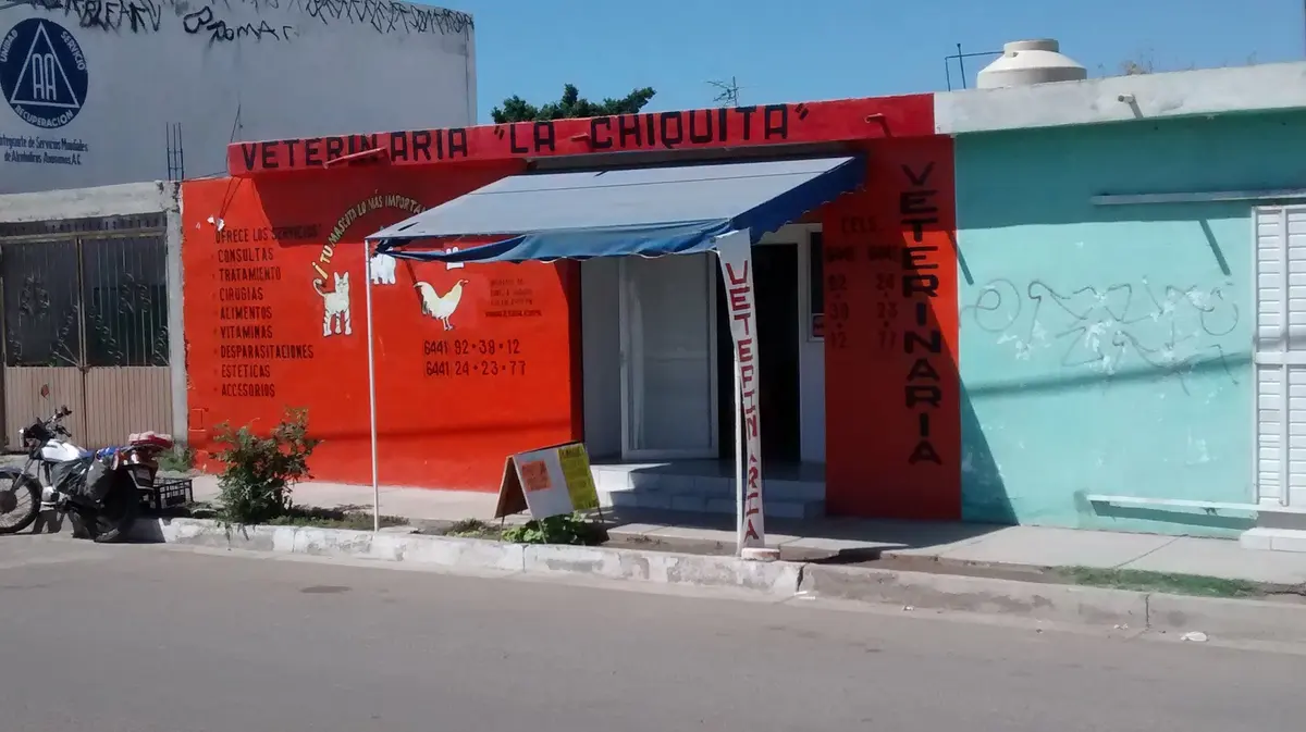 LA CHIQUITA VETERINARIA-ESTÉTICA — foto 3 de 3