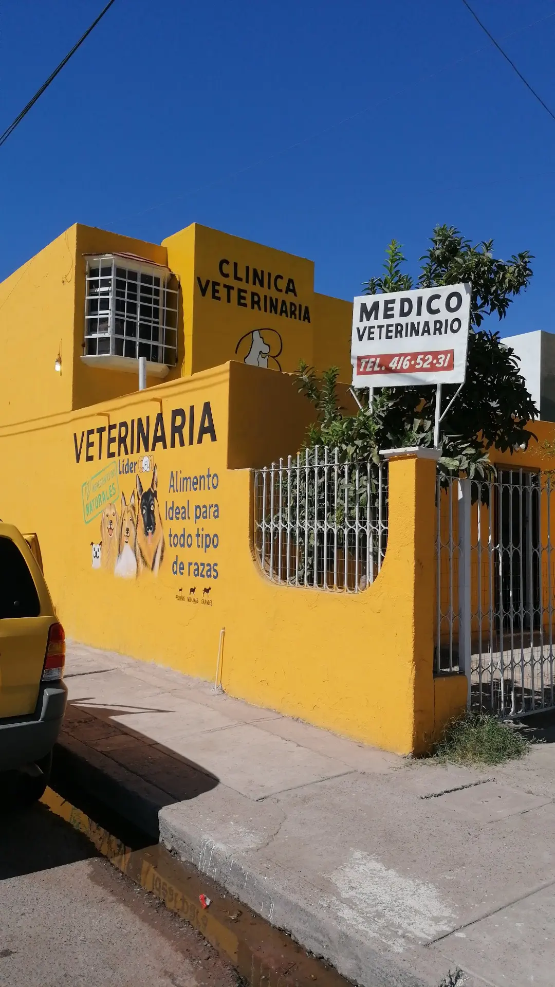 Veterinaria Beltrán