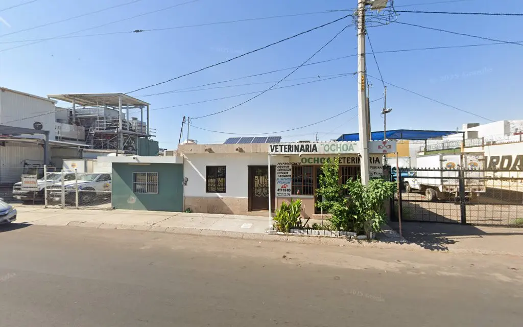 Veterinaria Ochoa